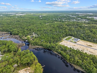 Beach Acreage For Sale in Inlet Beach, Florida