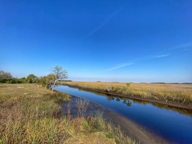 Beach Lot For Sale in Suwannee, Florida