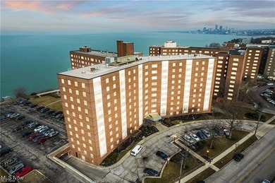 Beach Condo For Sale in Lakewood, Ohio