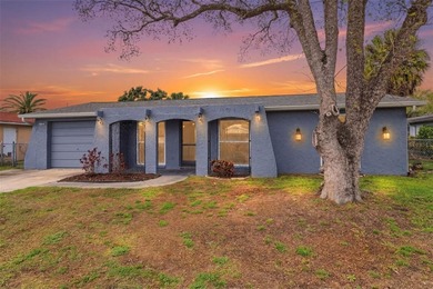 Beach Home For Sale in Port Richey, Florida