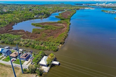 Beach Home For Sale in Gibsonton, Florida