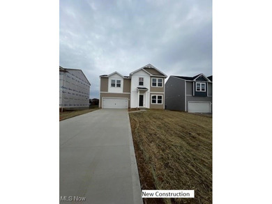 Beach Home For Sale in Perry, Ohio