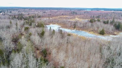 Beach Acreage For Sale in Jonesport, Maine