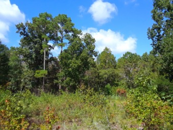 Beach Lot Off Market in Shallotte, North Carolina