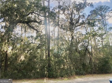 Beach Lot For Sale in Saint Simons, Georgia