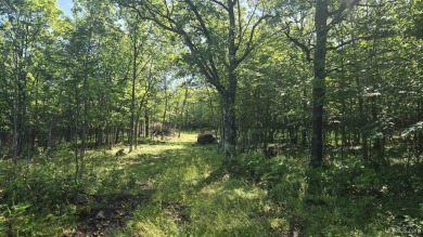 Beach Acreage Active Under Contract in Mohawk, Michigan