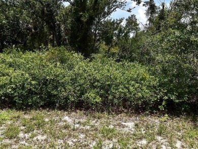 Beach Lot For Sale in North Port, Florida