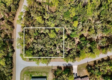 Beach Lot For Sale in North Port, Florida