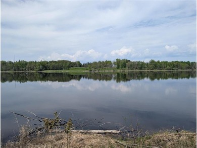 Beach Acreage For Sale in Birchdale, Minnesota