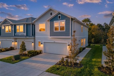 Beach Townhome/Townhouse For Sale in Land O Lakes, Florida