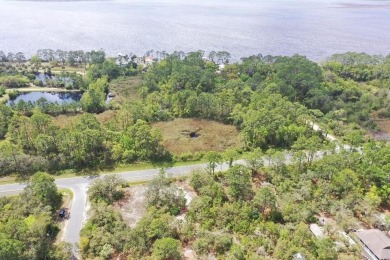 Beach Lot For Sale in Panacea, Florida
