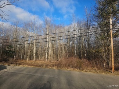 Beach Lot For Sale in Evans, New York