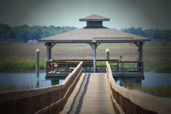 Beach Lot Off Market in Shellman Bluff, Georgia