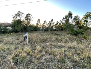 Beach Lot For Sale in Lehigh Acres, Florida