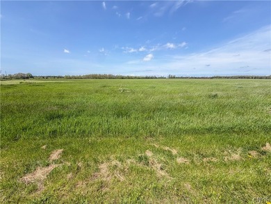 Beach Lot For Sale in Chaumont, New York