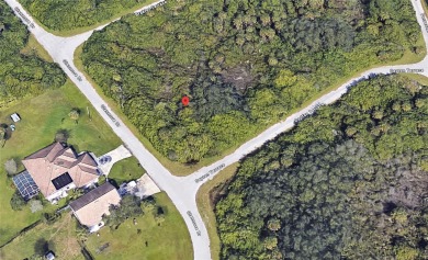 Beach Lot For Sale in Port Charlotte, Florida