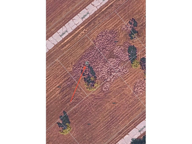 Beach Lot For Sale in Placida, Florida