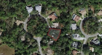 Beach Lot Sale Pending in Homosassa, Florida