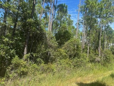 Beach Lot For Sale in Santa Rosa Beach, Florida