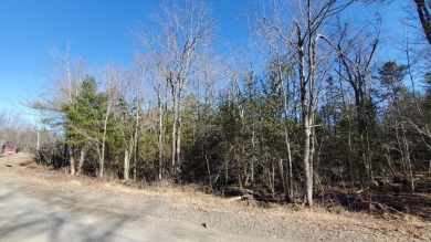 Beach Acreage For Sale in Belfast, Maine