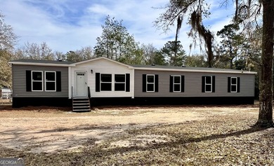 Beach Home For Sale in Woodbine, Georgia