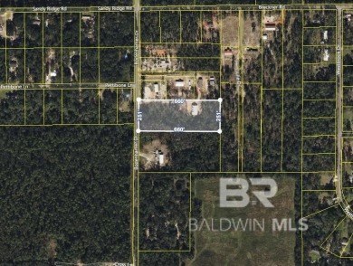 Beach Acreage For Sale in Foley, Alabama