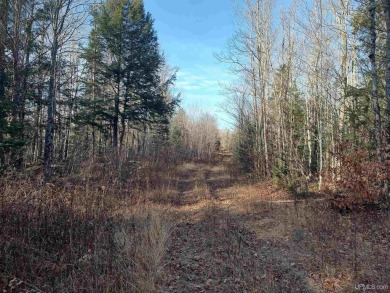Beach Acreage For Sale in Deerton, Michigan