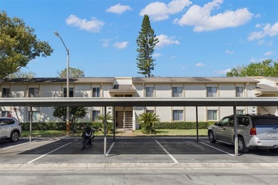 Beach Condo For Sale in Oldsmar, Florida