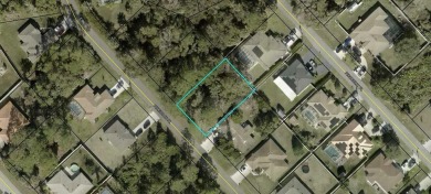 Beach Lot Sale Pending in Palm Coast, Florida