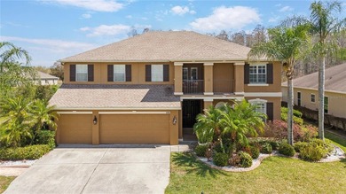 Beach Home For Sale in Land O Lakes, Florida