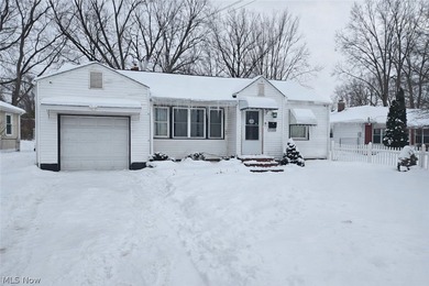 Beach Home For Sale in Eastlake, Ohio