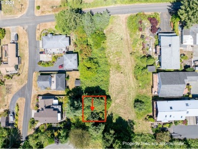 Beach Lot For Sale in Wheeler, Oregon