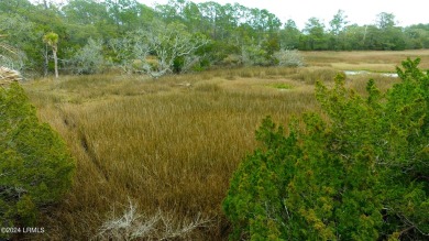 Beach Lot For Sale in Saint Helena Island, South Carolina