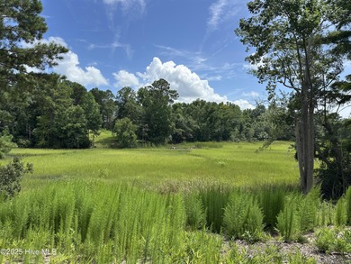 Beach Lot For Sale in Hampstead, North Carolina