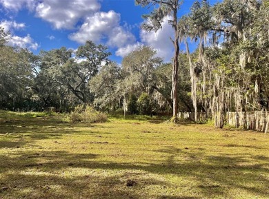 Beach Lot For Sale in Riverview, Florida