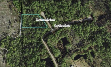 Beach Lot For Sale in Carabelle, Florida