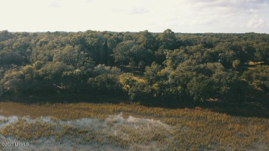 Beach Lot For Sale in Saint Helena Island, South Carolina