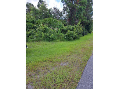 Beach Lot For Sale in Palm Coast, Florida