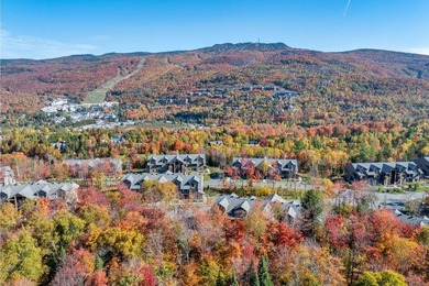 Beach Condo For Sale in Mont-Tremblant, Quebec