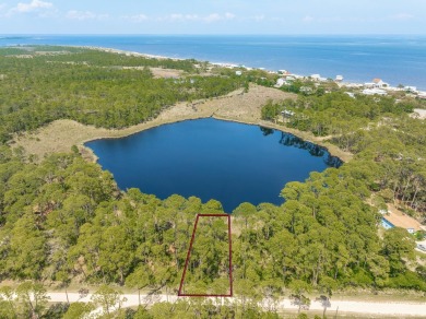 Beach Lot For Sale in Alligator Point, Florida
