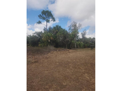 Beach Lot For Sale in North Port, Florida