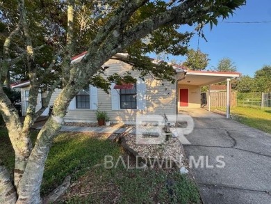 Beach Home For Sale in Lillian, Alabama