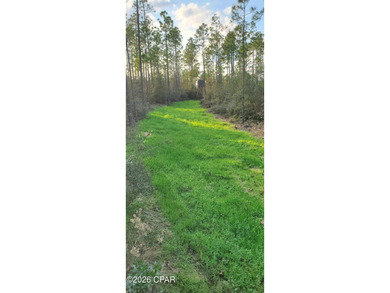 Beach Acreage For Sale in Southport, Florida