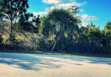 Beach Lot For Sale in Port Charlotte, Florida