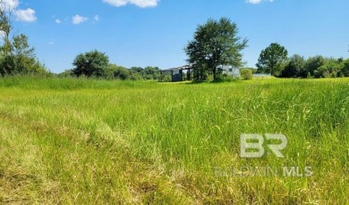 Beach Acreage For Sale in Foley, Alabama