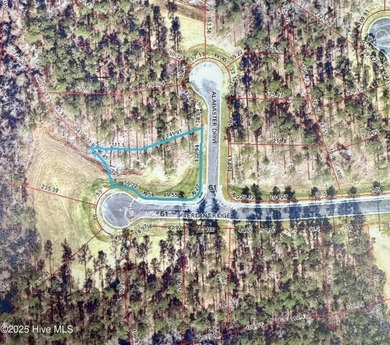 Beach Lot For Sale in New Bern, North Carolina