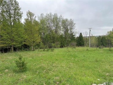 Beach Lot For Sale in Champion, New York