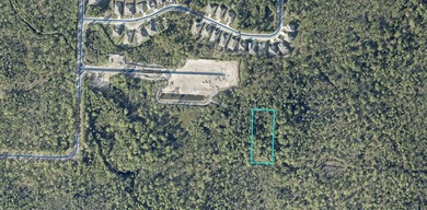 Beach Lot For Sale in Santa Rosa Beach, Florida