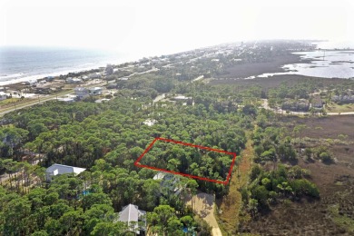 Beach Lot For Sale in St. George Island, Florida