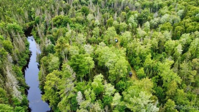 Beach Acreage For Sale in Lake Linden, Michigan